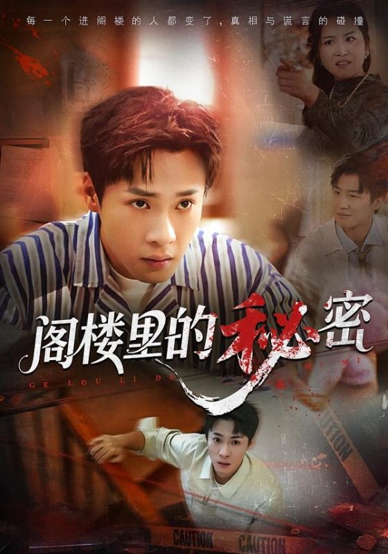 《阁楼里的秘密》-VIP部落