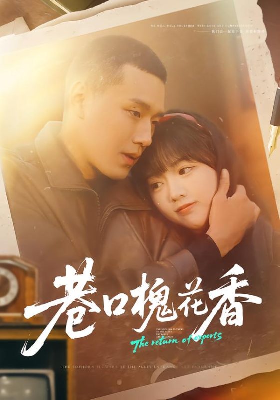 《巷口槐花香》-VIP部落