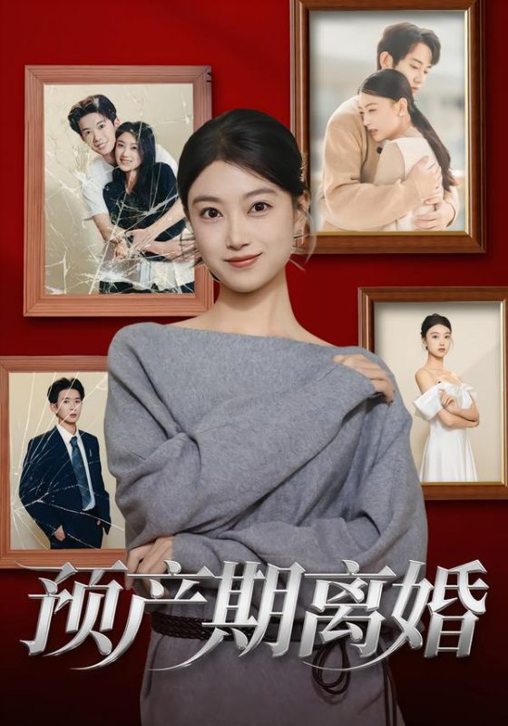 《预产期离婚》-VIP部落