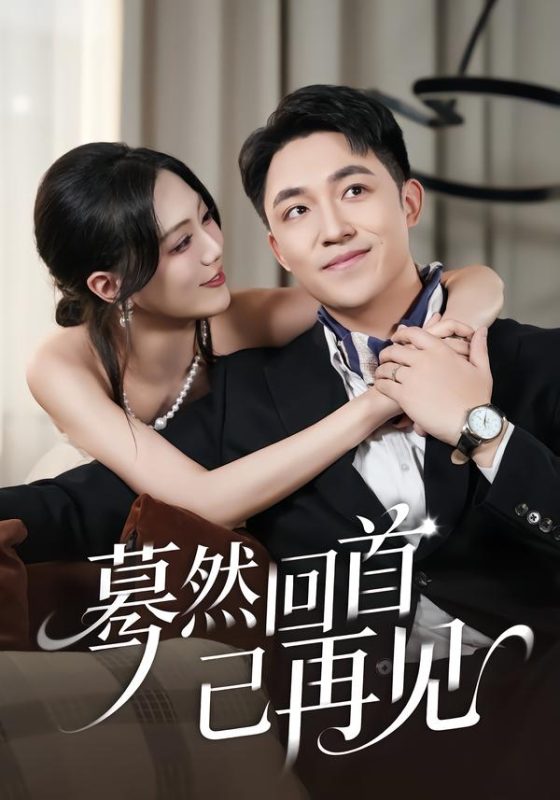 《蓦然回首已再见》-VIP部落