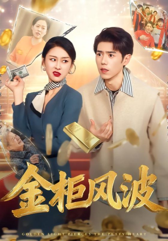 《金柜风波》-VIP部落