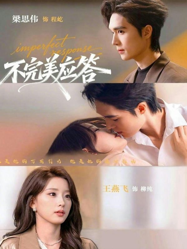 《不完美应答》-VIP部落