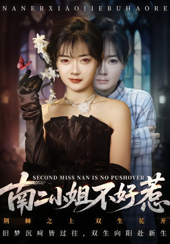 《南二小姐不好惹》-VIP部落