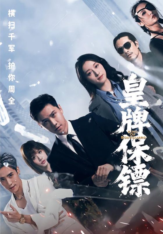 《皇牌保镖》-VIP部落