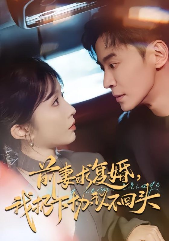 《前妻求复婚，我扔下协议不回头》-VIP部落