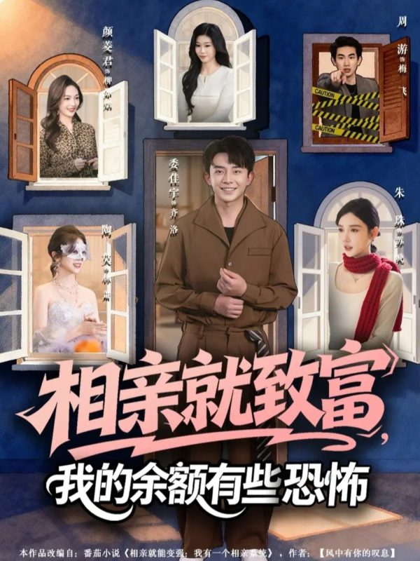 《相亲就致富，我的余额有些恐怖》-VIP部落