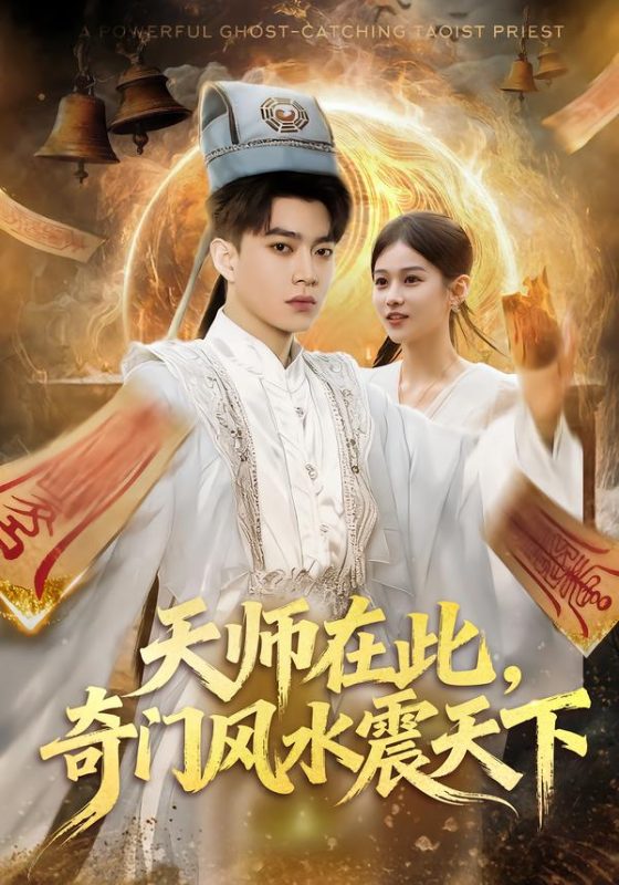 《天师在此，奇门风水震天下》-VIP部落