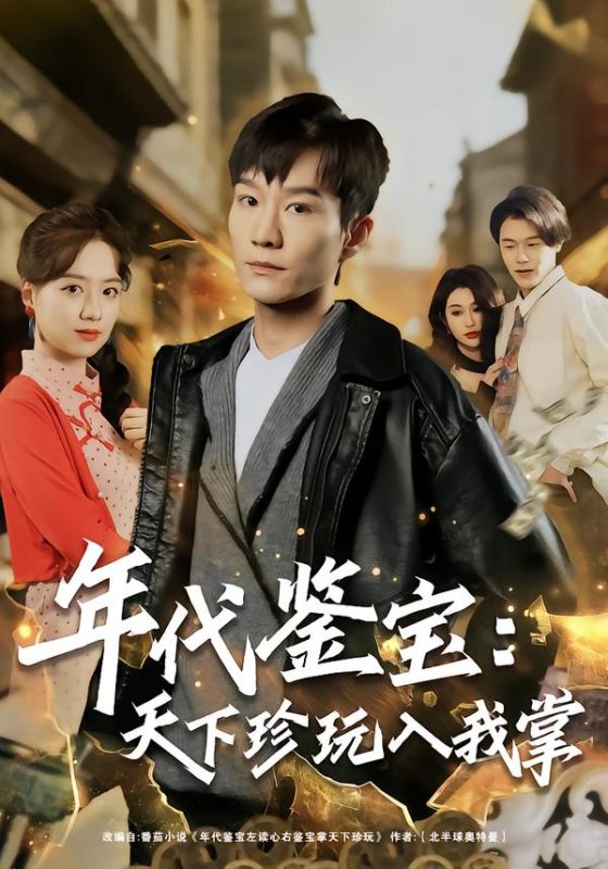《年代鉴宝：天下珍玩入我掌》-VIP部落