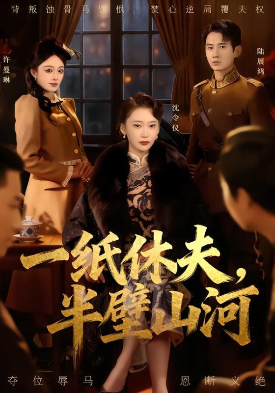 《一纸休夫，半壁山河》-VIP部落