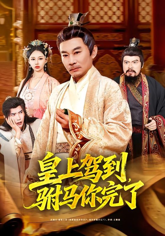 《皇上驾到，驸马你完了》-VIP部落
