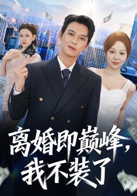 《离婚即巅峰，我不装了》-VIP部落