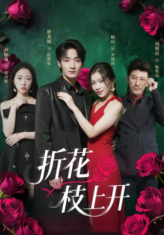《折花枝上开》-VIP部落