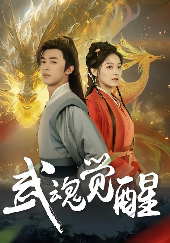 《武魂觉醒》-VIP部落