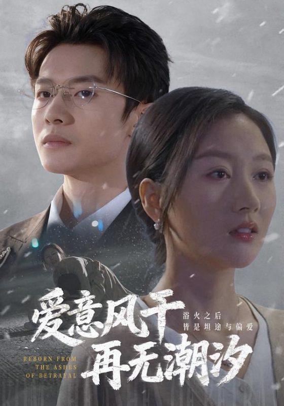 《爱意风干再无潮汐》-VIP部落