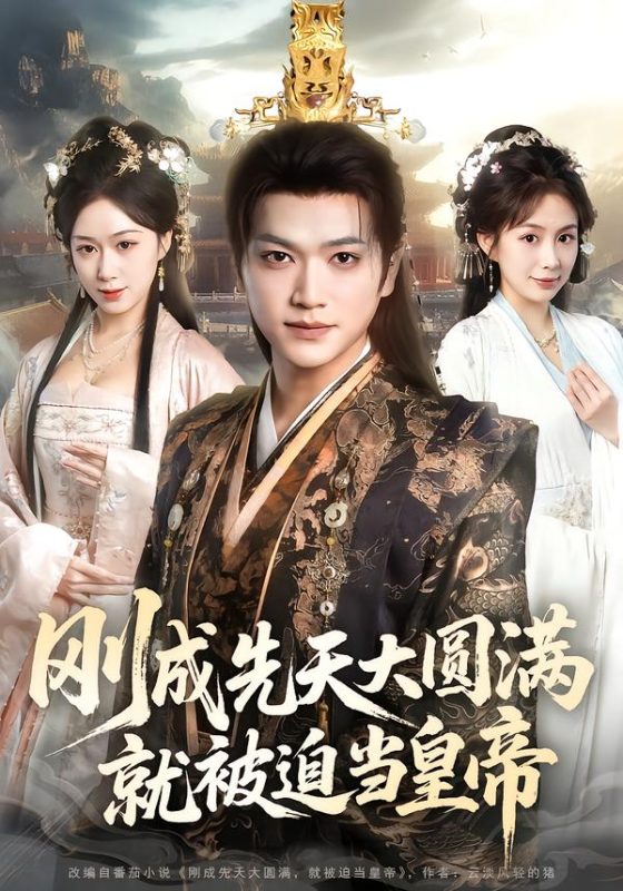 《刚成先天大圆满，就被迫当皇帝》-VIP部落