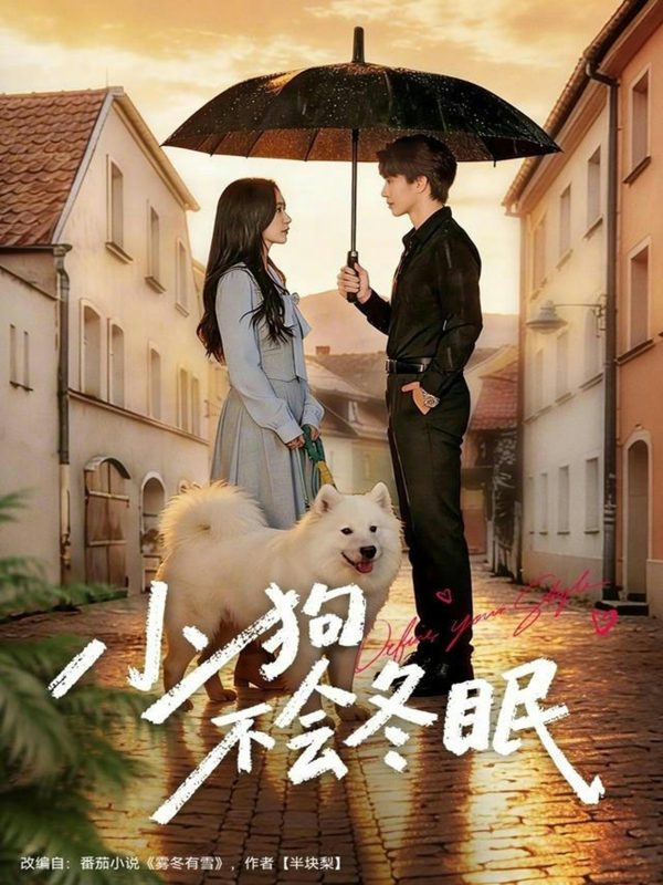 《小狗不会冬眠》-VIP部落