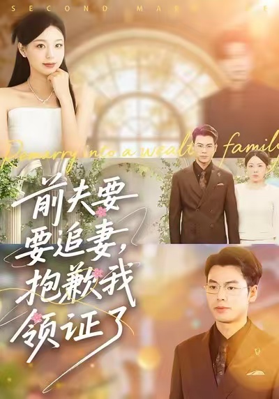 《前夫要追妻，抱歉我领证了》-VIP部落