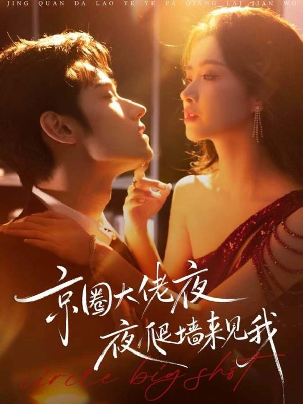 《京圈大佬夜夜爬墙来见我》-VIP部落