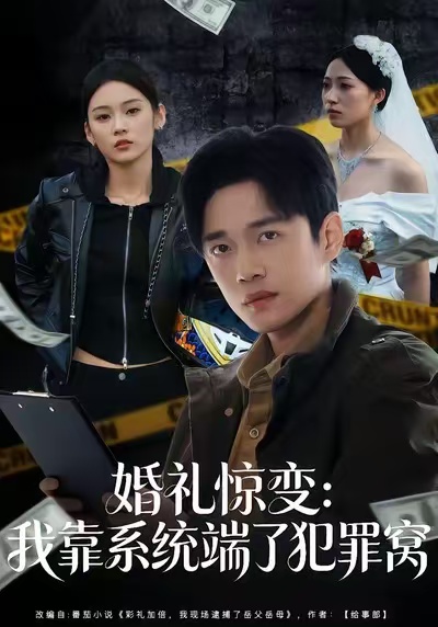 《婚礼惊变:我靠系统端了犯罪窝》-VIP部落