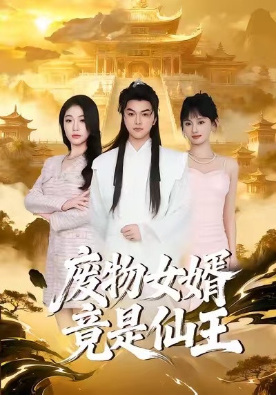 《废物女婿竟是仙王》-VIP部落