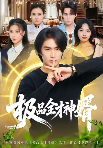 《极品全才神婿》-VIP部落