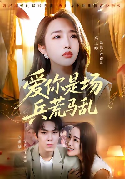 《爱你是场兵荒马乱》-VIP部落