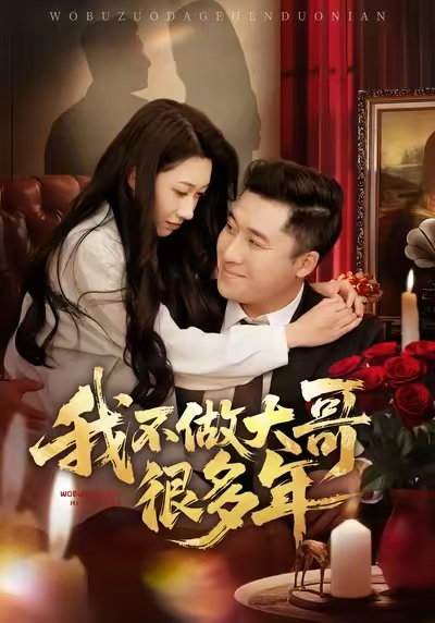 《我不做大哥很多年》-VIP部落