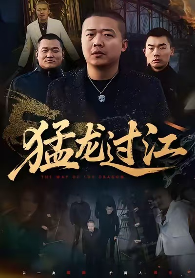 《猛龙过江》-VIP部落