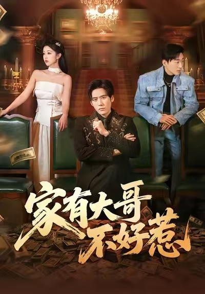 《家有大哥不好惹》-VIP部落