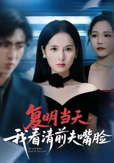 《复明当天，我看清前夫嘴脸》-VIP部落