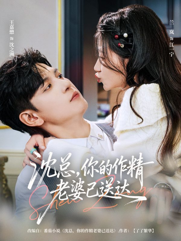 《沈总，你的作精老婆已送达》-VIP部落