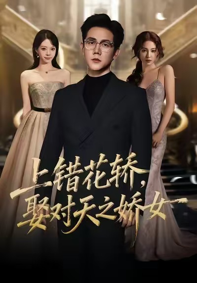 《上错花轿，娶对天之娇女》-VIP部落