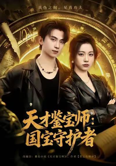《天才鉴宝师：国宝守护者》-VIP部落