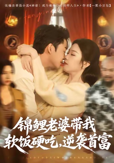 《锦鲤老婆带我软饭硬吃，逆袭首富》-VIP部落