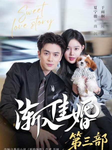 《渐入佳婚3》-VIP部落