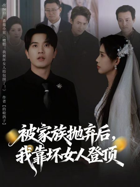 《被家族抛弃后，我靠坏女人登顶》-VIP部落