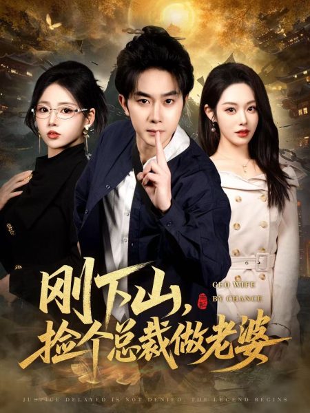 《刚下山捡个总裁做老婆》-VIP部落