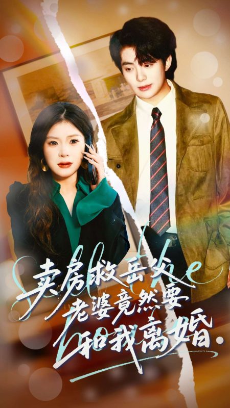《卖房救岳父，老婆竟然要和我离婚》-VIP部落