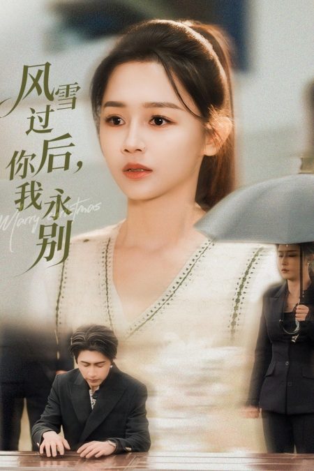 《风雪过后你我永别》-VIP部落