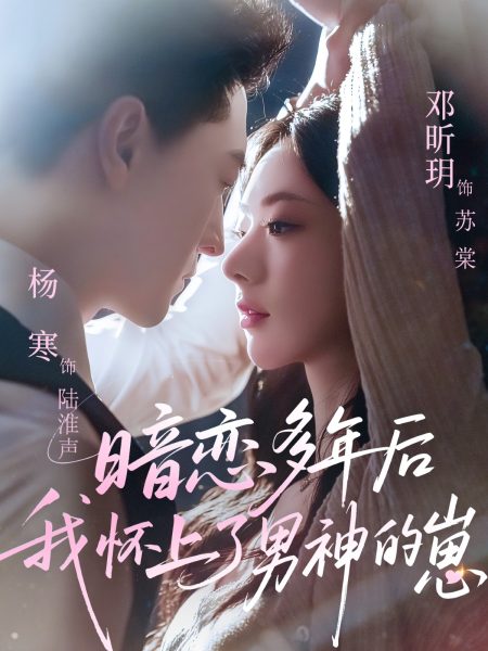 《暗恋多年后我怀上了男神的崽》-VIP部落