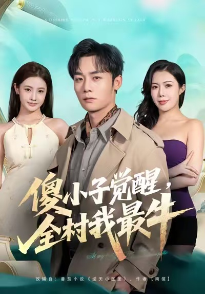 《傻小子觉醒，全村我最牛》-VIP部落