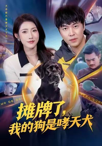 《摊牌了，我的狗是哮天犬》-VIP部落