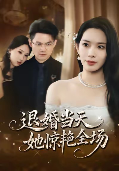 《退婚当天，她惊艳全场》-VIP部落