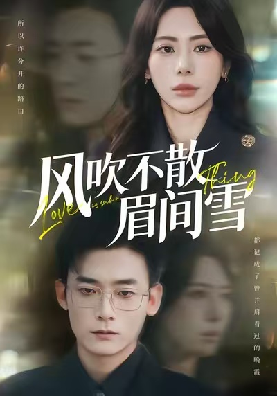 《风吹不散眉间雪》-VIP部落