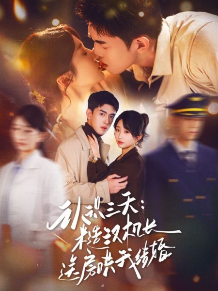 《认识三天糙汉机长送房哄我结婚》-VIP部落