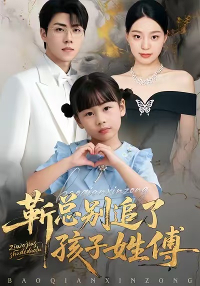 《靳总别追了，孩子姓傅》-VIP部落