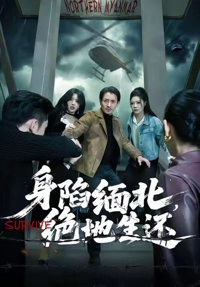 《身陷缅北，绝地生还》-VIP部落