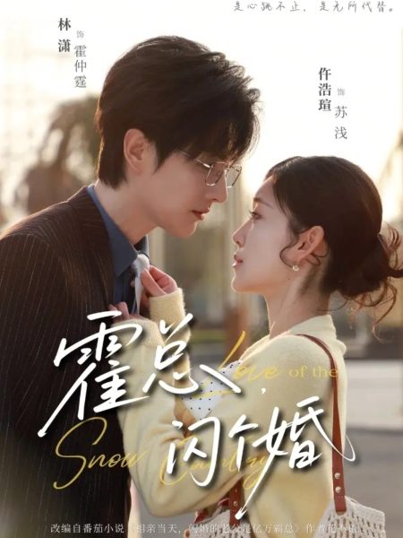 《霍总闪个婚》-VIP部落