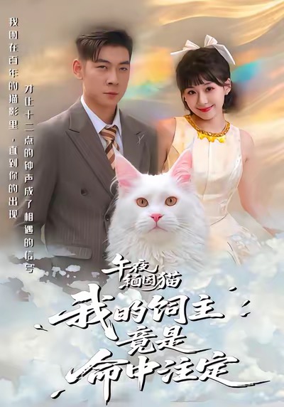 《午夜缅因猫我的饲主竟是命中注定》-VIP部落