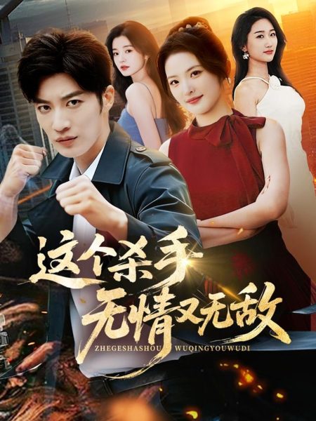 《这个杀手无情又无敌》-VIP部落